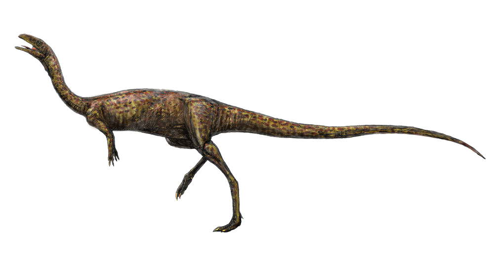 suchomimus